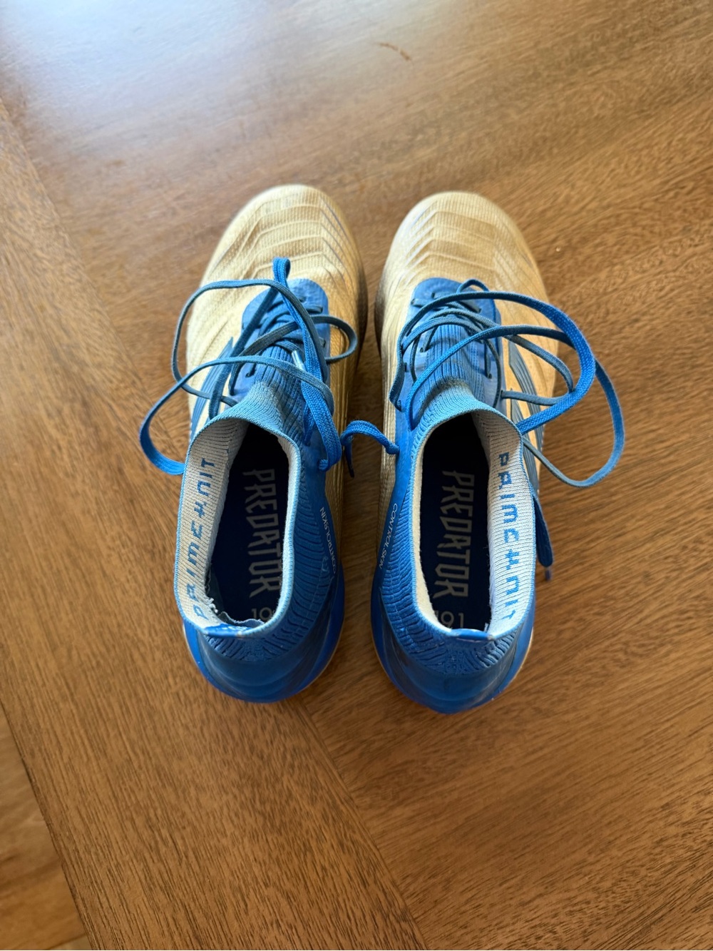 Adidas Predator 19.1 Soccer cleats in Blue and Gold FG. Very popular edition